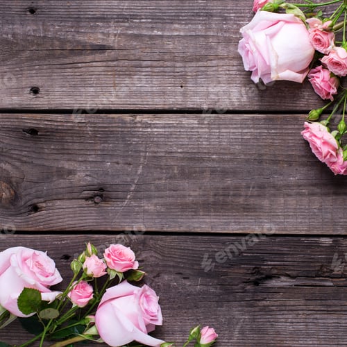 Preview: Frame From Pink Roses Flowers On Aged Wooden Background. Floral Still Life. View Frome Above