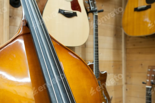 Preview: Double Bass Body Part And String Close Up, Selective Focus On Chords And Other Instruments In