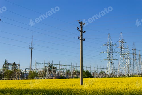 Preview: High Voltage Wires In A Rapeseed Field. Bioenergy Concept
