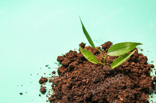 Preview: Heap Of Soil With Growing Green Plant On Color Background. Ecology Concept