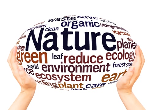 Preview: Nature Word Cloud Hand Sphere Concept On White Background.