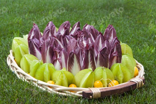 Preview: Background Composition Of Fresh Vegetables