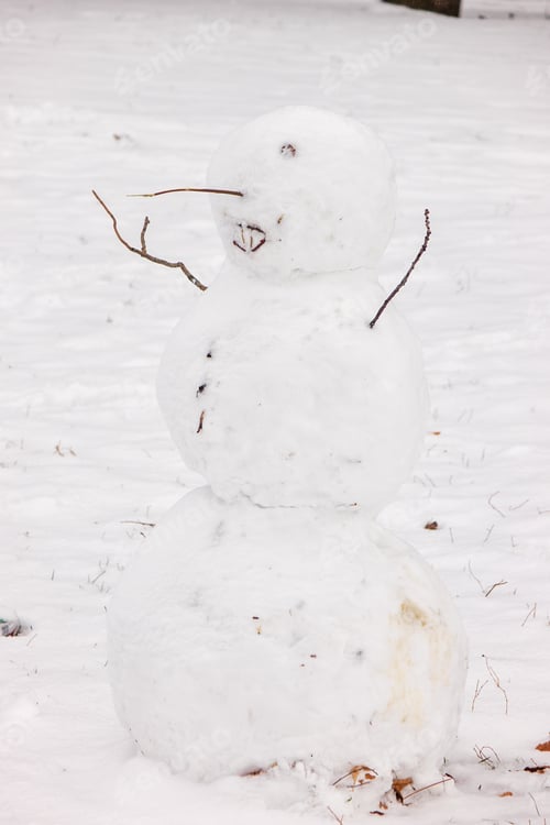 Preview: Snowman In The Park , Note Shallow Depth Of Field