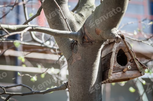 Preview: Color Image Of Wooden Hand Crafted Bird Nest House In A Tree.