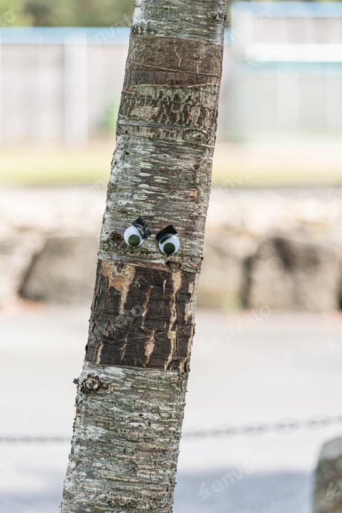 Preview: Googly Eyes On An Angry Tree.