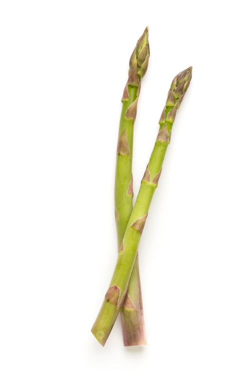 Preview: Bio Fresh Green Asparagus Isolated On White Background.