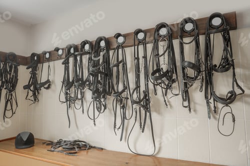 Preview: Harness For Horses
