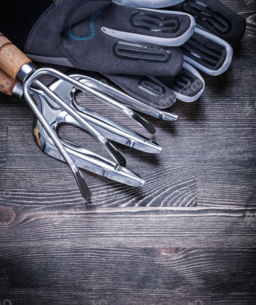 Preview: Stainless Rake Trowel Fork Safety Gloves Gardening Concept.