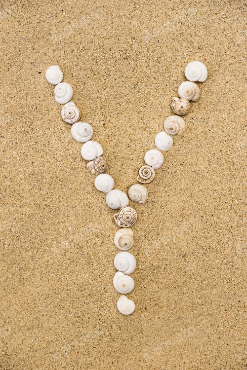 Preview: Summer Alphabet Letters, Letter Y Made Of Seashells On Sand.