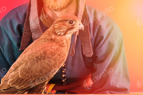 Preview: A Bird Of Prey Sits On The Glove Of A Man With A Beard. Falcon Hunting In Retro Style On A Red