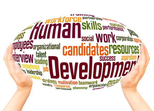 Preview: Human Development Word Cloud Hand Sphere Concept On White Background.