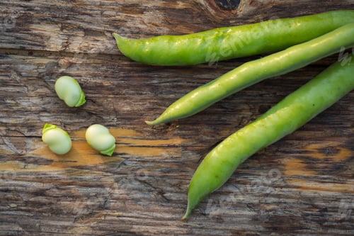 Preview: Fresh Raw Fava Beans On A Rustic Wooden Background