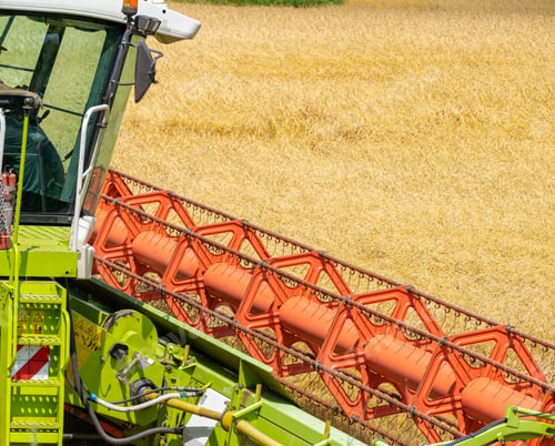 Preview: Harvester At Work On The Field Harvesting Ripe Wheat