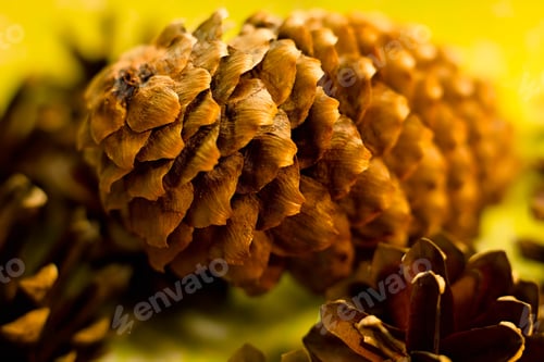 Preview: Pine Cone On A Holiday Background.