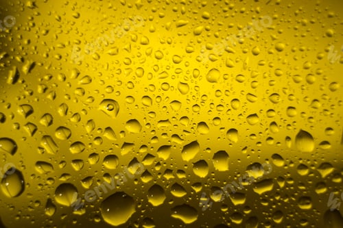 Preview: Biodiesel Drops, Bubbles Biofuel, Vegetable Oil, Yellow And Orange Emulsion Bubbles For Background.