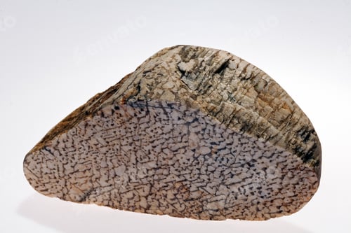 Preview: Written Pegmatite With A Cross-Section In The Form Of Wire On The White Background