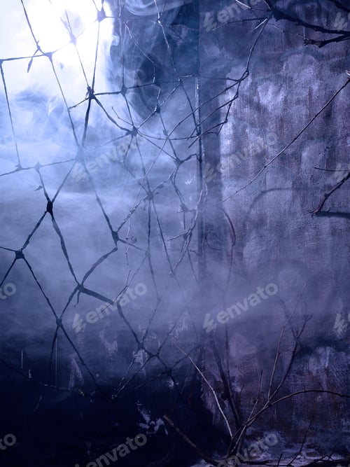 Preview: Dark Mystical Interior With Smoke And Cobwebs In The Attic, Or An Abandoned House.