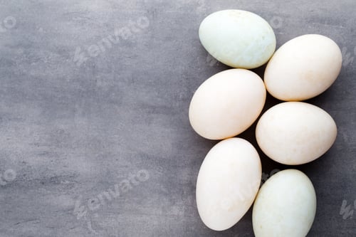 Preview: Duck Eggs On A Cage Gray Background.
