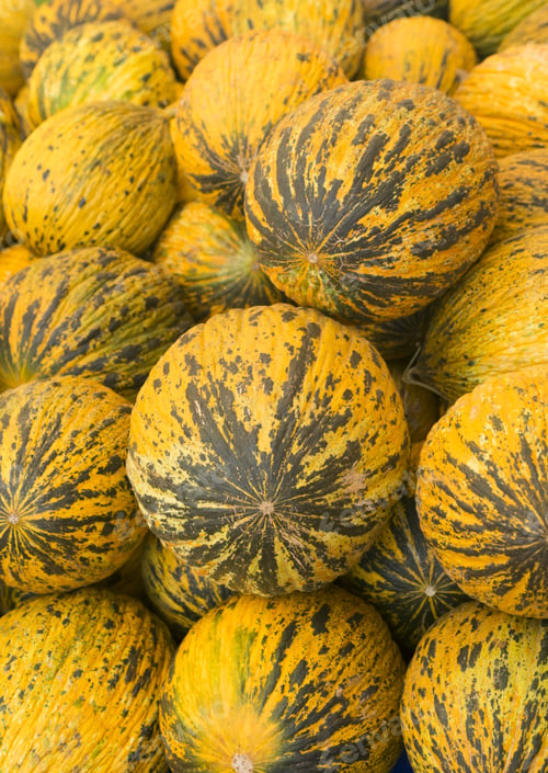 Preview: Many Delicious Turkish Melon. Summer Tray Market Agriculture Farm Full Of Organic Fruit . It Can Be