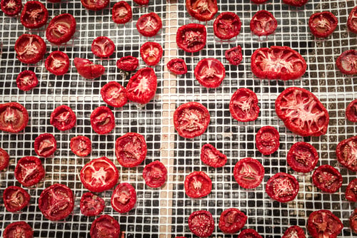 Preview: Delicious Pachino Tomatoes Drying At The Sun In A Huge Production In Sicly