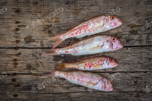 Preview: Fresh Raw Red Mullet On Wooden Background