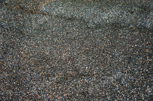 Preview: Background Of Sunflower Seeds In The Store