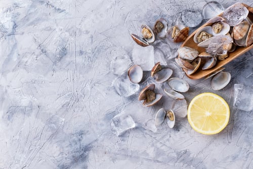 Preview: Vongole Shellfish Decorated With Ice And Lemon Served On Olive Tree Wooden Scoop Over Blue