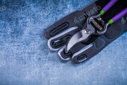 Preview: Secateurs Fabric Safety Gloves On Metallic Surface Agriculture Concept.