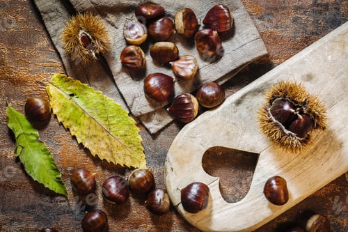Preview: Fresh Raw Chestnuts Fruits In Autumn Season