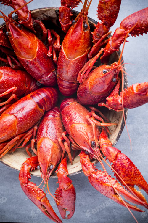 Preview: Cooked River Crayfish On The Grey Background.