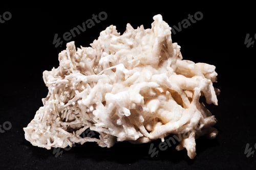 Visualização: Mineral de aragonita de flor de ferro sobre fundo preto