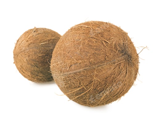Preview: Coconut Isolated On White.