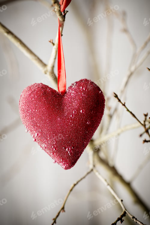 Preview: Red Heart Hanging On A Tree Branch.