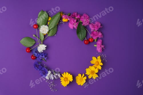 Vista previa: The Composition Of Flowers And Berries In Circle On The Violet Flat. The Mix Of Bluets, Cherries