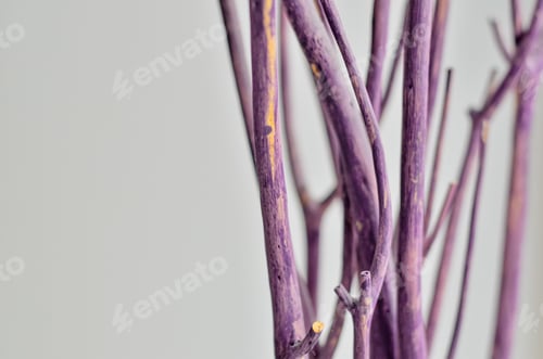 Preview: Closeup Of Decoration With Dry Rustic Branches In The Vase