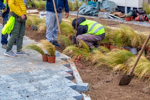 Preview: Workers Installing Flower Beds In The City Park. Concept Of Beautification Of The Garden. Selective