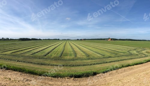 Preview: Panorama From Farmland In Friesland, The Netherlands