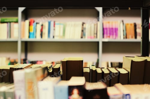 Preview: Books On A Library Shelf