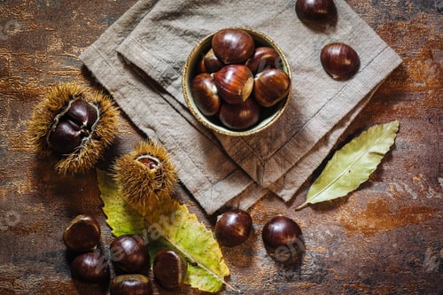 Preview: Fresh Raw Chestnuts Fruits In Autumn Season