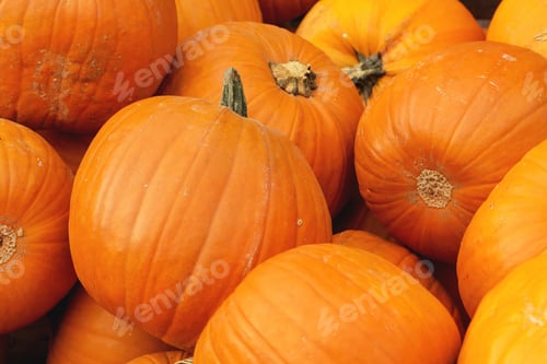 Vorschau: Stapel unterschiedlich großer Kürbisse auf einem Kürbishaufen auf einem örtlichen Halloween-Messegelände