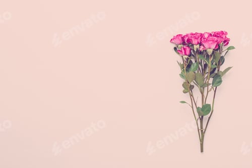 Preview: Flowers Composition. Frame Made Of Red Rose On White Wooden Background. Flat Lay, Top View, Copy