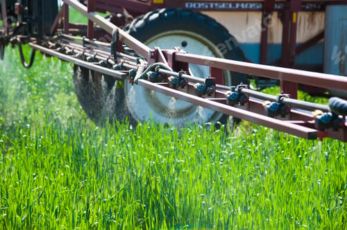 Preview: Tractor Spraying Pesticides Wheat Field With Sprayer At Spring