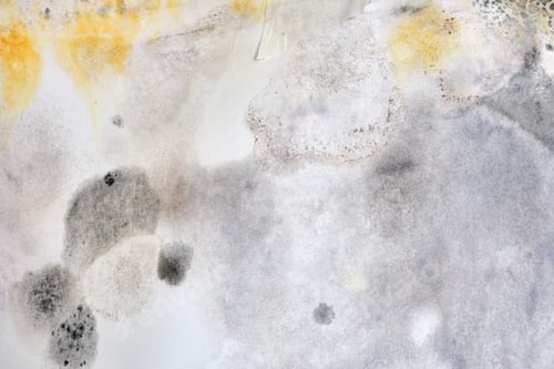 Preview: Black And Yellow Mold On The Wall In The Home, Close-Up