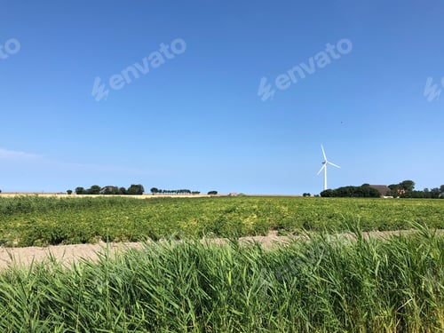 Preview: Farmland Around Sexbierum In Friesland The Netherlands