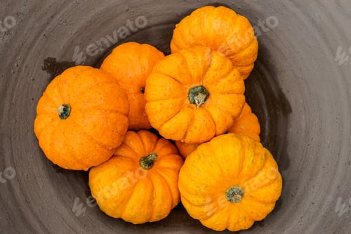 Preview: Small Orange Pumpkin On A Clay Plate.