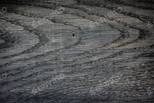 Preview: Beautiful Slice Texture Of Natural Painted Wood. Background