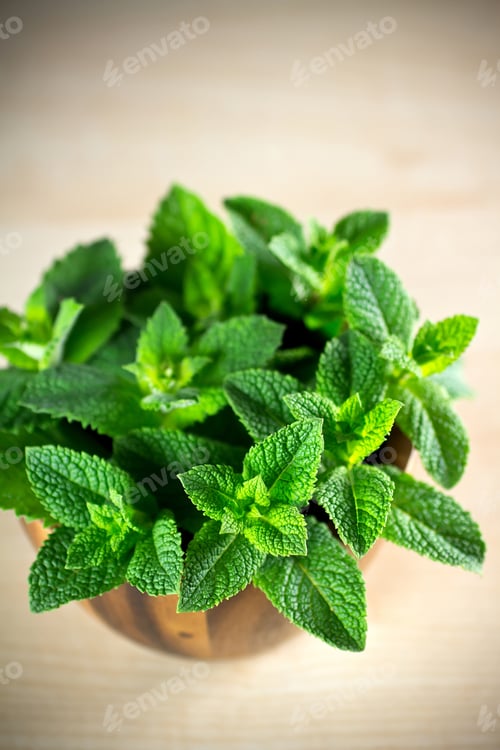 Preview: Mortar With Mint.