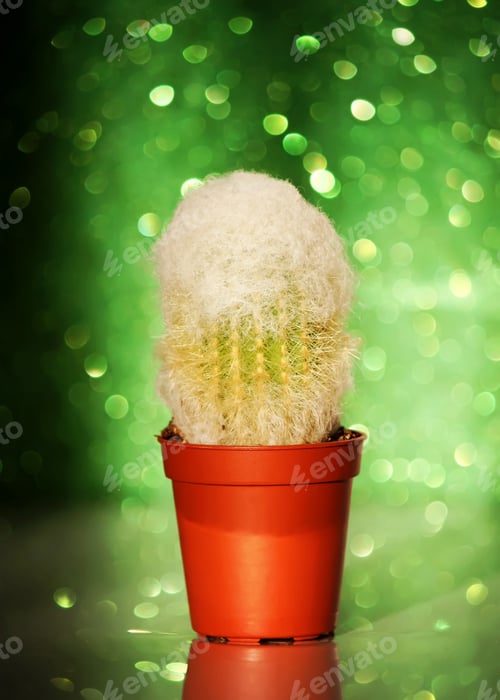 Preview: Cactus On Glitter Bokeh Abstract Background.
