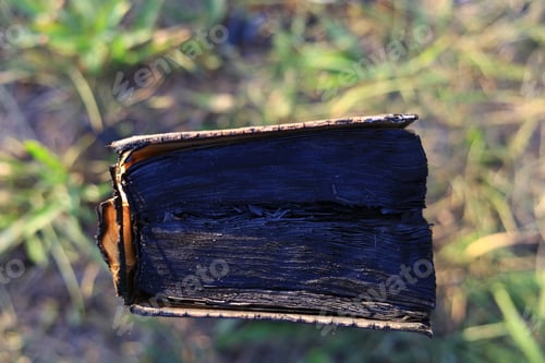 Preview: Blackened Pages Of An Old Burnt Book. Selective Focus.