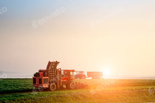 Preview: Farmers Harvest Early In The Morning At Sunrise.